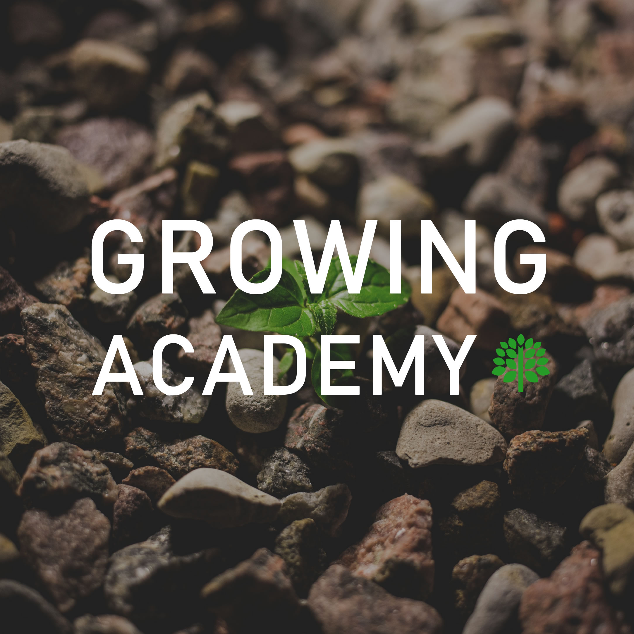 growing-academy