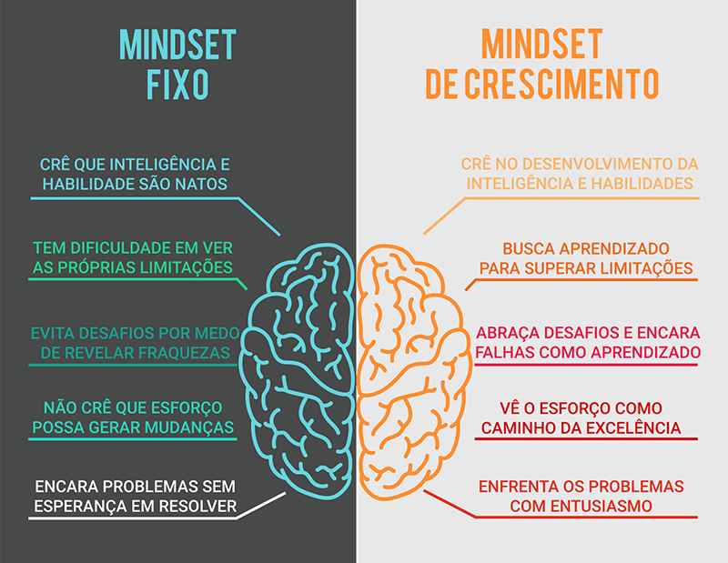 tipos de mindset